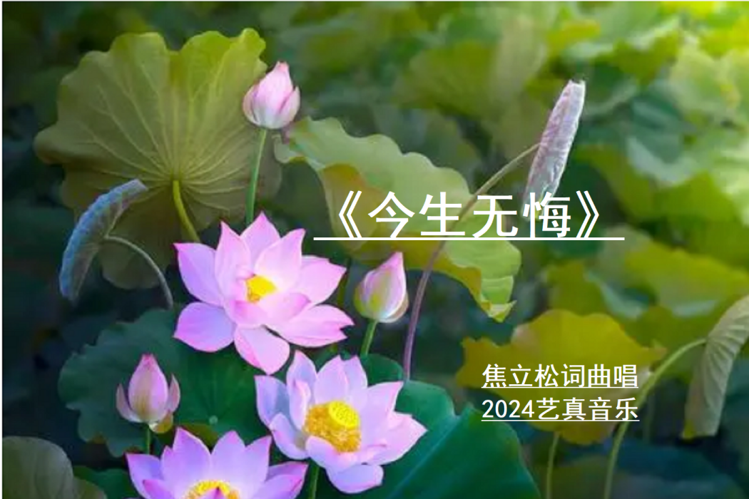 今生無悔(焦立松2023演唱歌曲) 今生無悔(焦立松2023演唱歌曲)