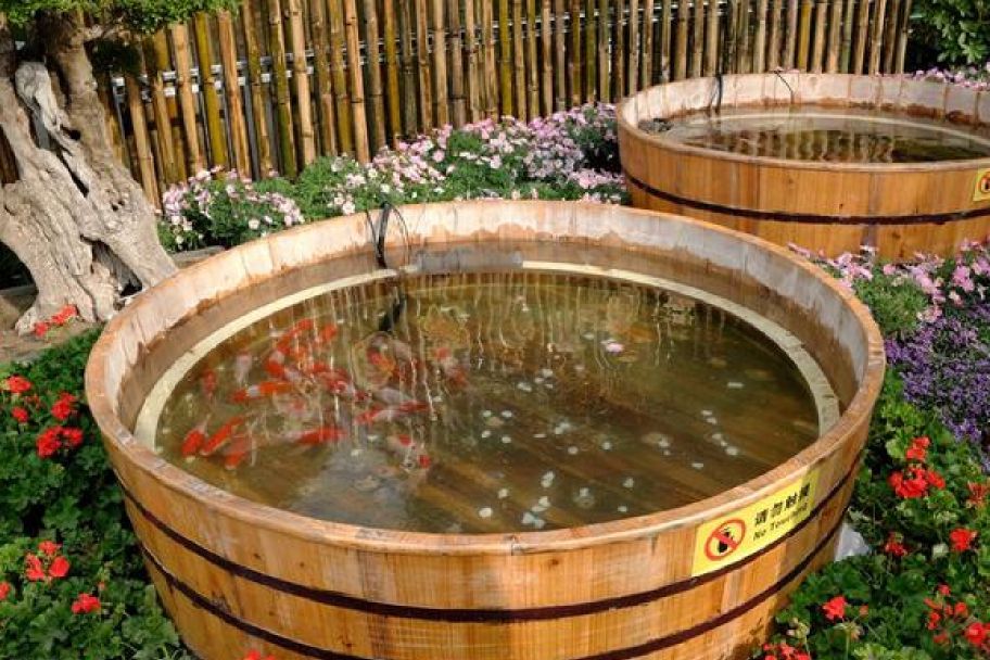 木海(飼養金魚的器具)