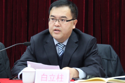 白立柱 白立柱
