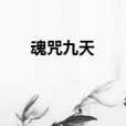 魂咒九天 魂咒九天