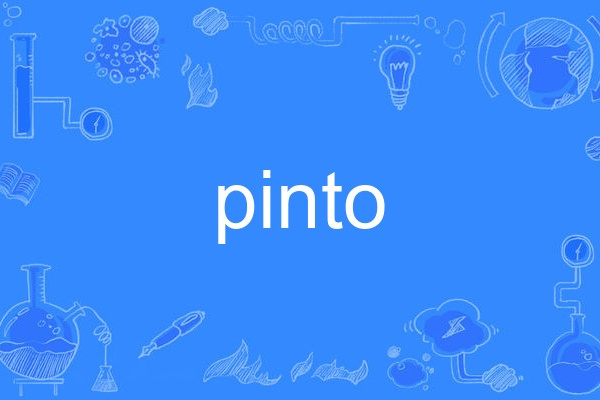pinto(英語單詞) pinto(英語單詞)
