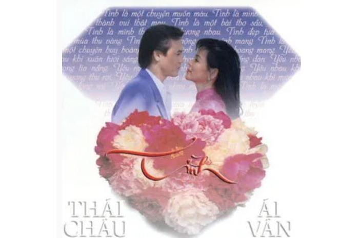 Tình Tình