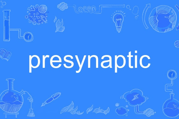 presynaptic presynaptic