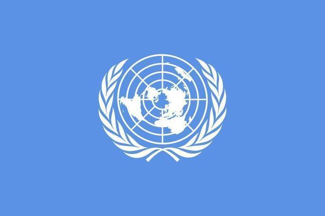 聯合國安理會第1717號決議