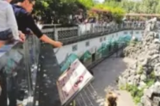 零食熊 零食熊
