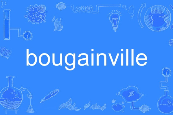 bougainville bougainville