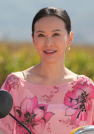 女人當官2