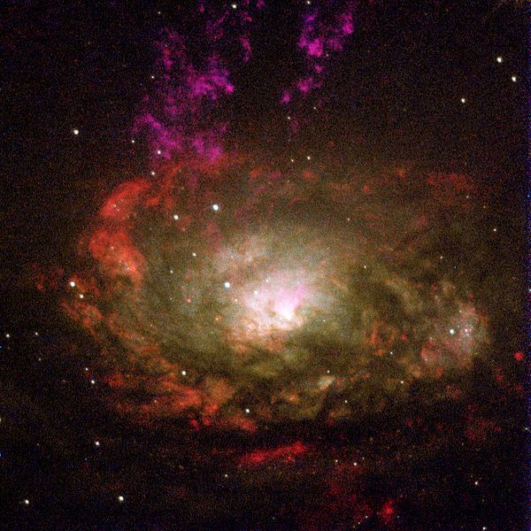 圓規座星系 圓規座星系