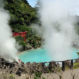 別府溫泉 別府溫泉