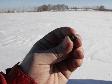 一位俄羅斯民眾在冰天雪地里撿起隕石碎片