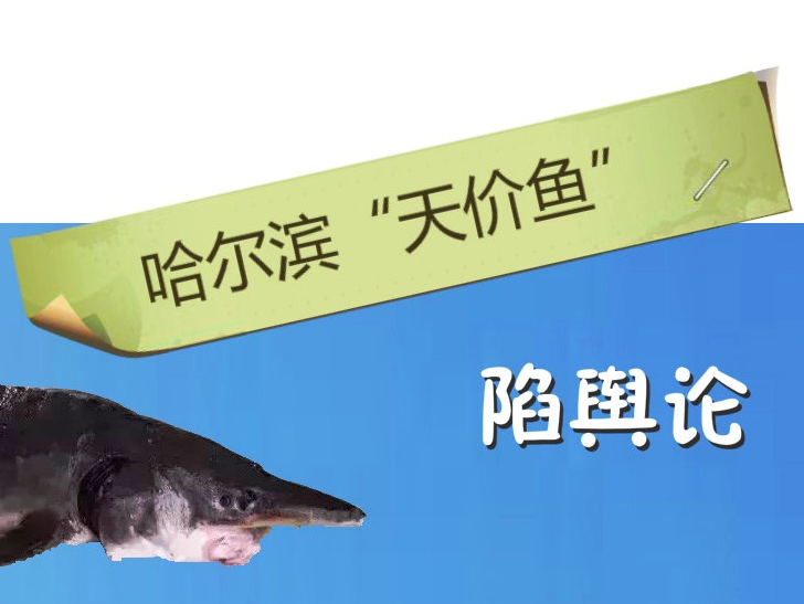 天價魚 天價魚