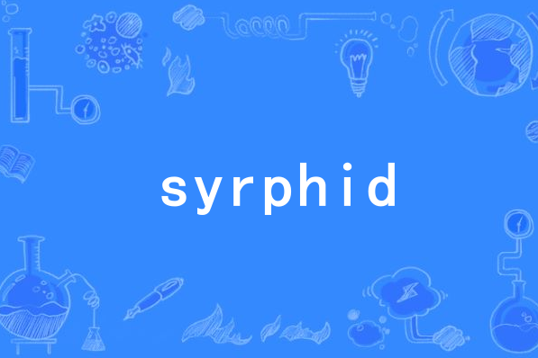 syrphid syrphid