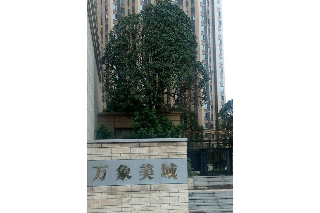 萬象美域 萬象美域