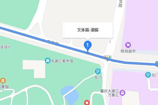 文體路(重慶市大渡口區境內市政道路)