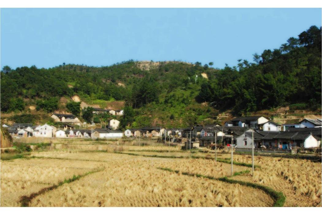 大輋 大輋