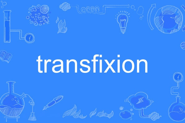 transfixion transfixion