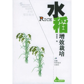水稻增效栽培