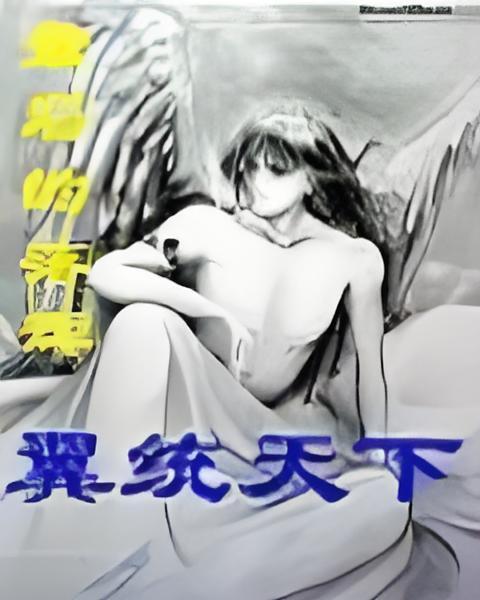翼統天下 翼統天下
