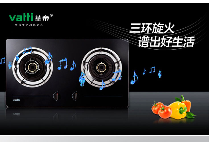 華帝i10005B 華帝i10005B