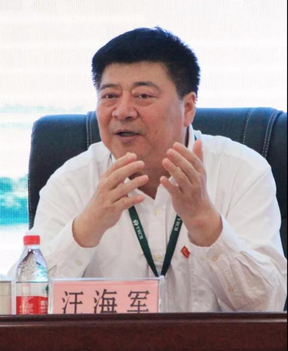 汪海軍(伊春農村商業銀行股份有限公司原董事長) 汪海軍(伊春農村商業銀行股份有限公司原董事長)