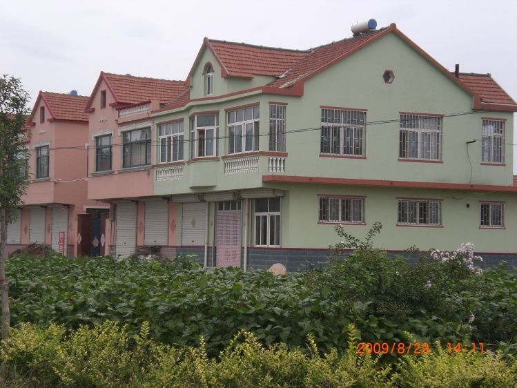堤前村 堤前村