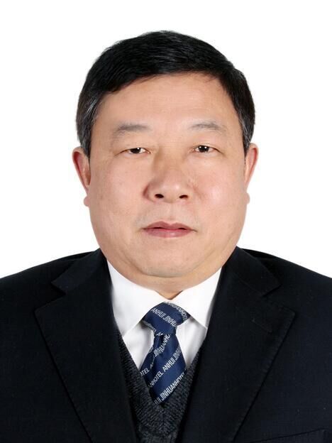 王志義(桐城市人大主任、黨組書記) 王志義(桐城市人大主任、黨組書記)
