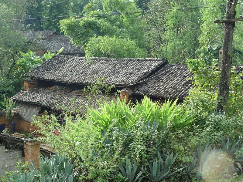莫寨村 莫寨村