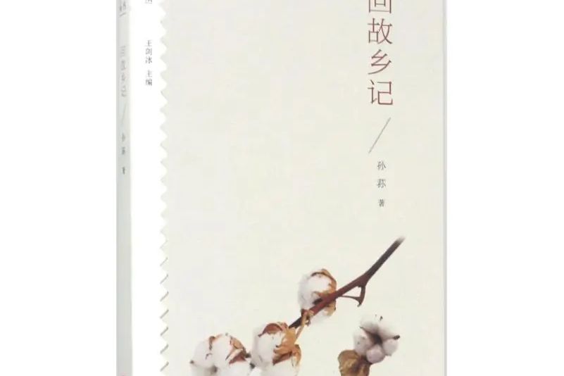 回故鄉記 回故鄉記