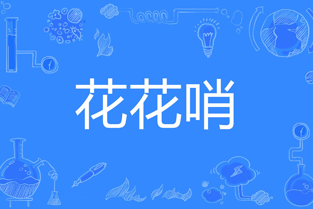 花花哨 花花哨