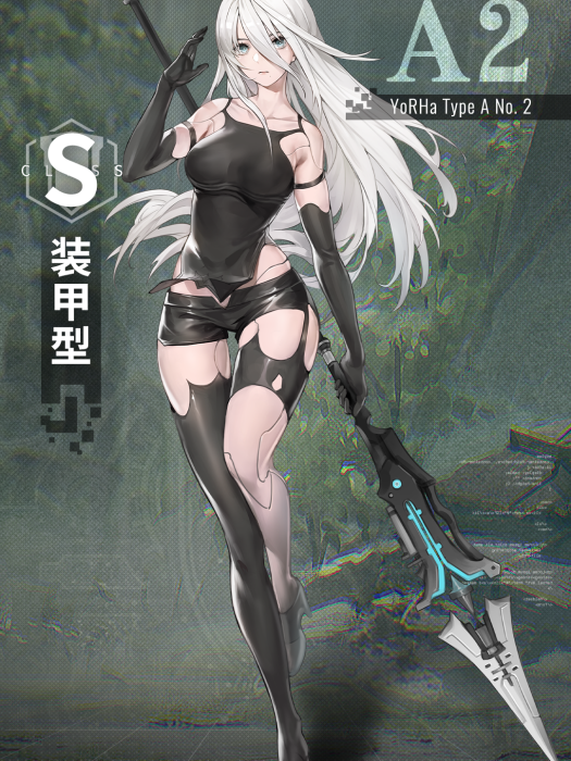 A2·A2 A2·A2