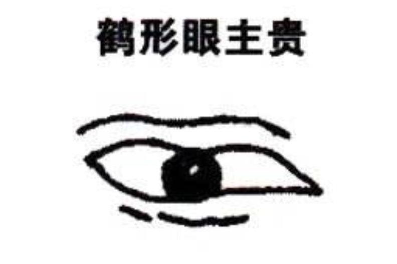 鶴眼 鶴眼