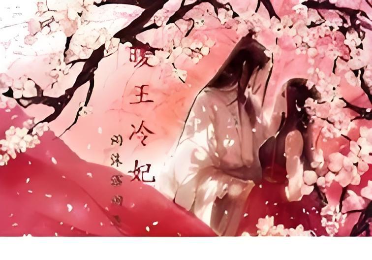 暖王冷妃 暖王冷妃