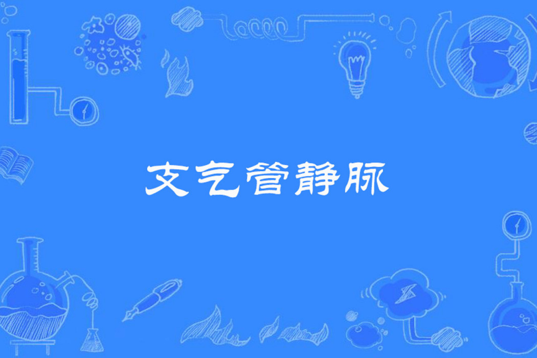 支氣管靜脈 支氣管靜脈