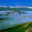 新疆巴音布魯克國家級自然保護區