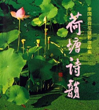 荷塘詩韻 荷塘詩韻