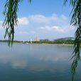 鳳鳴公園(山東省棗莊市公園) 鳳鳴公園(山東省棗莊市公園)