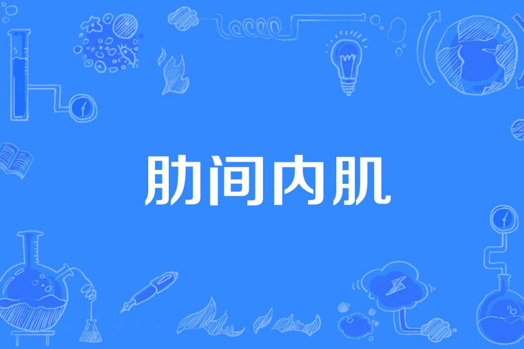 肋間內肌 肋間內肌