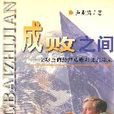 成敗之間 成敗之間