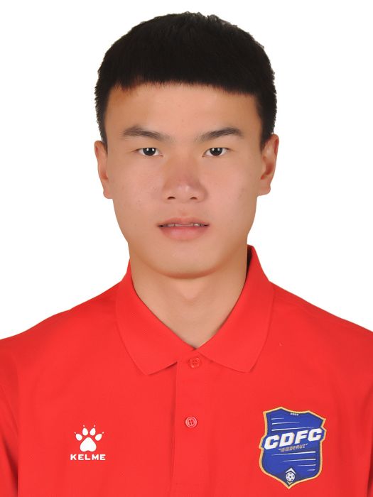 王辰(中國足球運動員) 王辰(中國足球運動員)