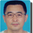 趙正平(對外經濟貿易大學副教授)