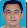 趙正平(對外經濟貿易大學副教授) 趙正平(對外經濟貿易大學副教授)