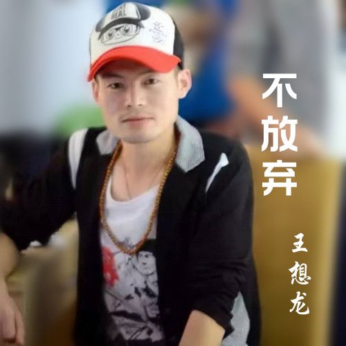 不放棄(王想龍演唱歌曲) 不放棄(王想龍演唱歌曲)