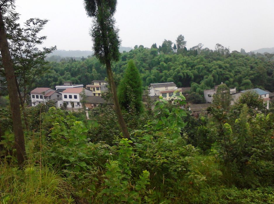 困牛村 困牛村