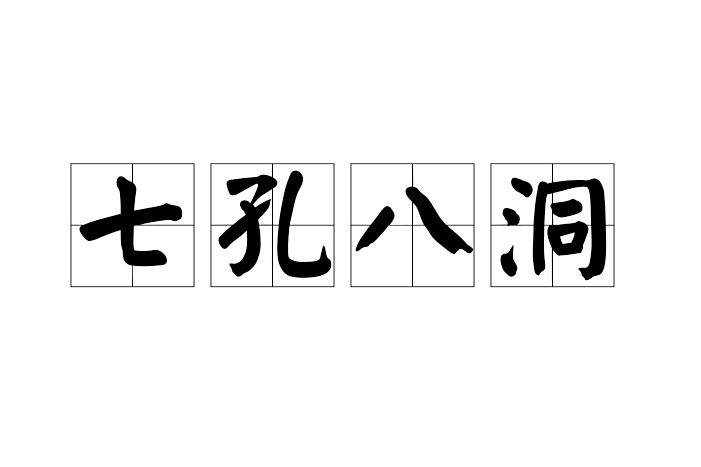 七孔八洞