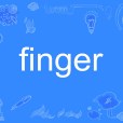 Finger(英語單詞) Finger(英語單詞)