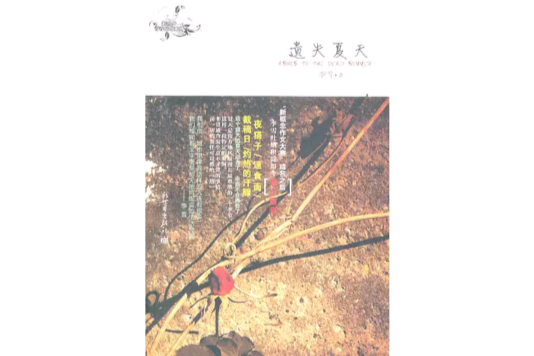 遺失夏天 遺失夏天
