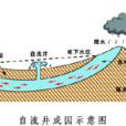 自流井(地質現象) 自流井(地質現象)