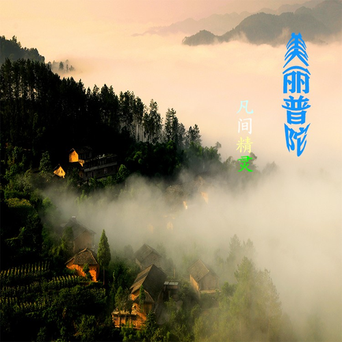 美麗普陀 美麗普陀