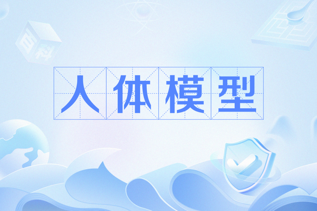 人體模型 人體模型