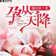 孕從天降 孕從天降